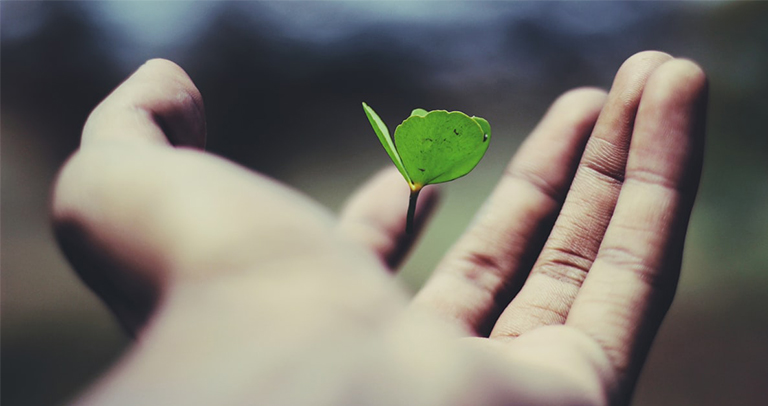 AI NEWSLETTER Vol.30  人事が知っておくべき「社会心理学」(その2) – NOVEMBER , 2019