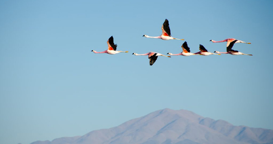 引っ越しのススメ ~「環境」を変える重要性~