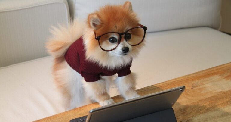 おばあちゃんとYouTubeと人の可能性について