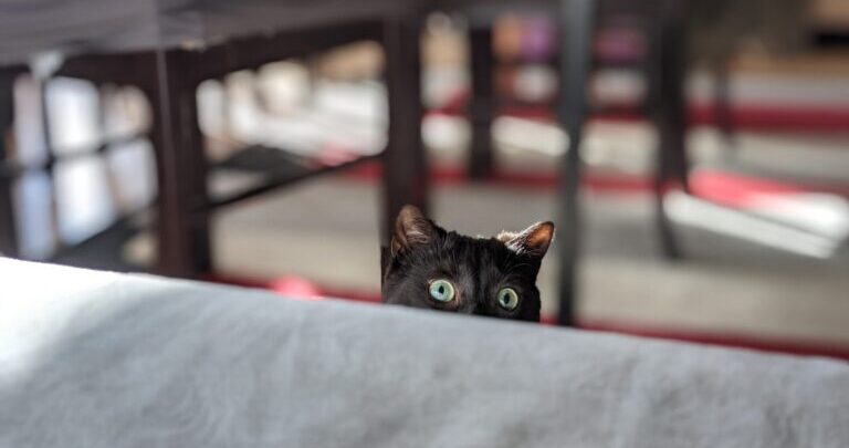 会いたくない人に、会いに行こう