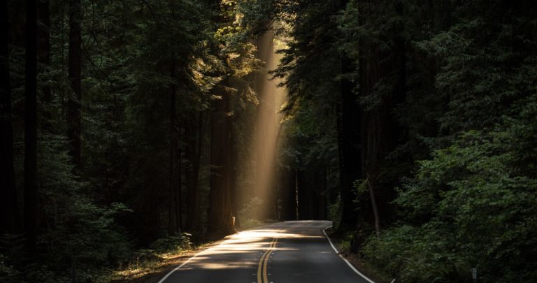 生きることは手放して前に進むこと