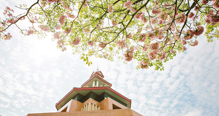 【タイ留学 -授業に関して感じたこと編】