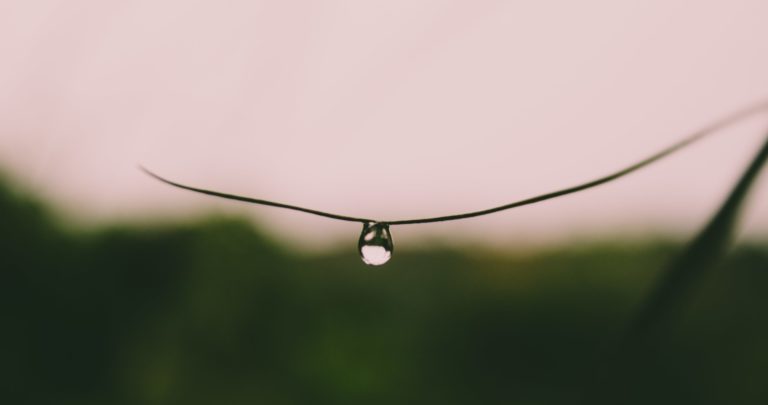 涵養(かんよう)という優しさ