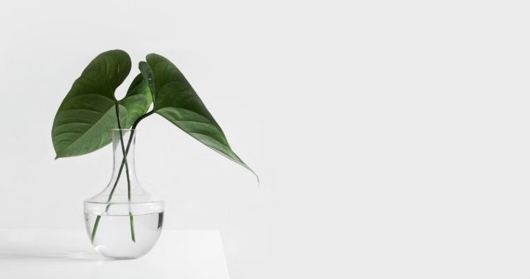 人生は短い。後悔しないためにやっておきたいこと。