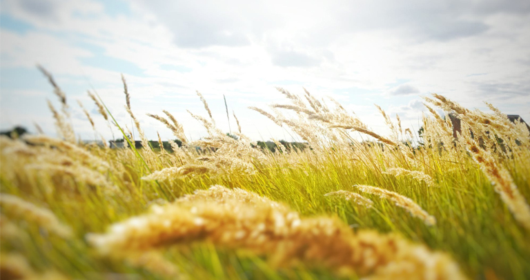 AI NEWSLETTER Vol.53  “ลมกับพระอาทิตย์” – FEB, 2023