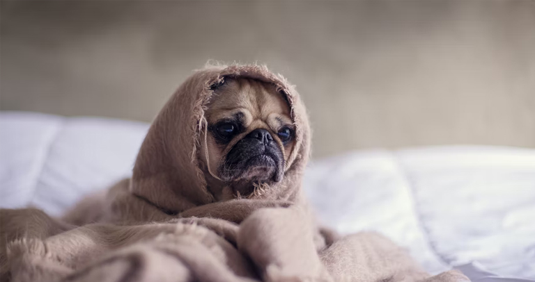 ควรทำอย่างไรเมื่อไม่พร้อมรับ Negative Feedback