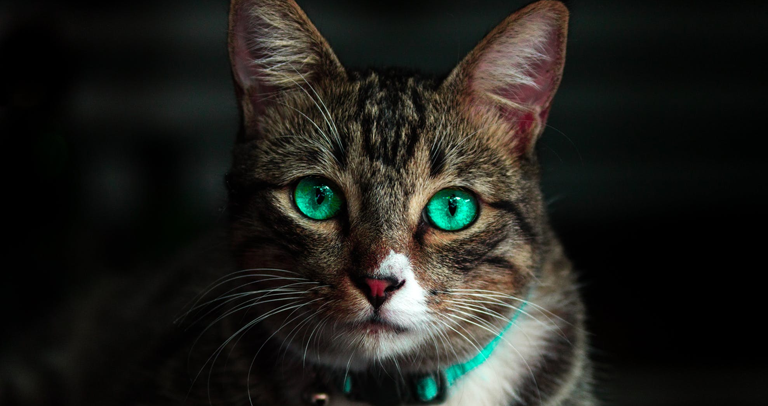 See with the Eyes Unclouded