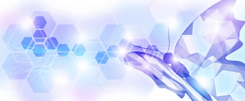 Leadership in the New Normal Online Seminar – Event Report